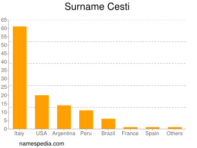 Surname Cesti