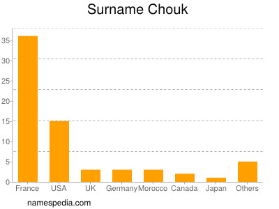 Surname Chouk