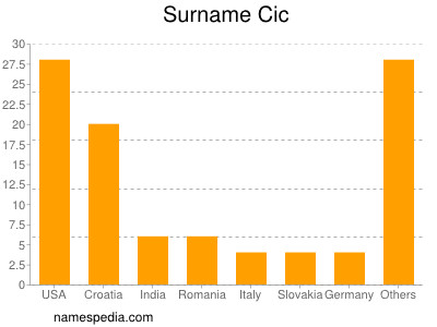 Surname Cic