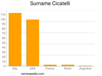 Surname Cicatelli