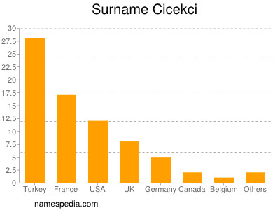 Surname Cicekci