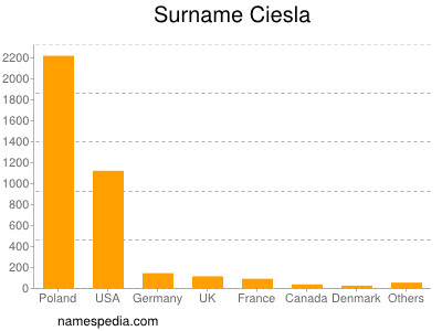 Familiennamen Ciesla