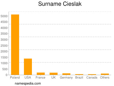 Familiennamen Cieslak