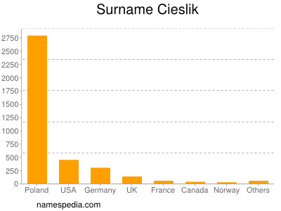 Familiennamen Cieslik