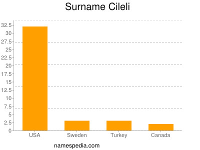 Familiennamen Cileli