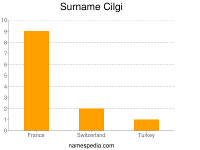 Familiennamen Cilgi