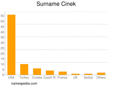 Familiennamen Cinek