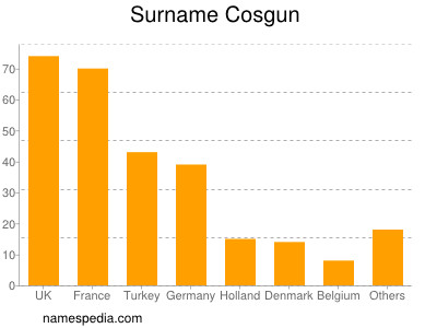 Familiennamen Cosgun