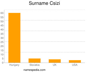 Familiennamen Csizi