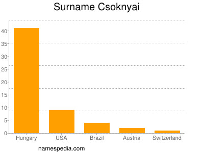 Surname Csoknyai