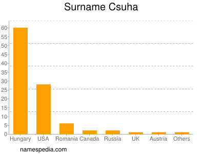 Familiennamen Csuha