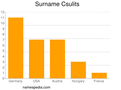 Familiennamen Csulits