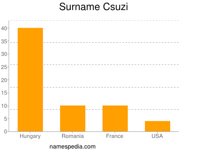 Familiennamen Csuzi