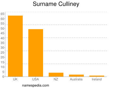 Familiennamen Culliney