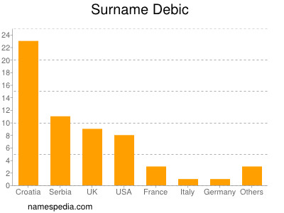 Surname Debic