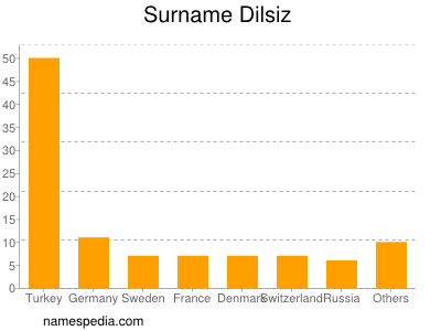 Familiennamen Dilsiz