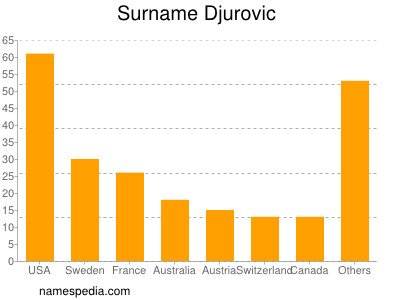 Familiennamen Djurovic