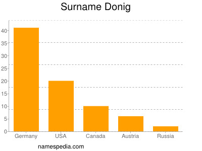 Surname Donig