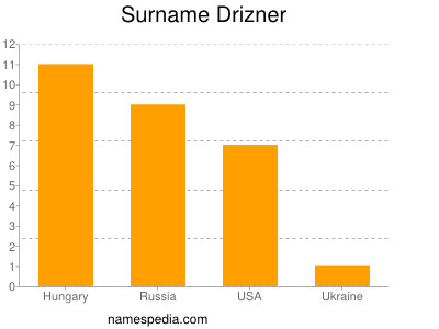 Familiennamen Drizner