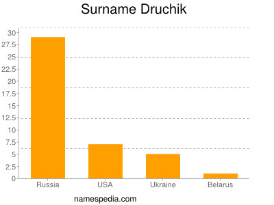 Surname Druchik