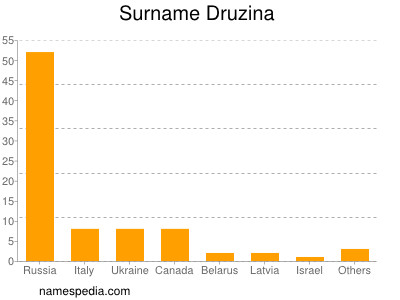 Surname Druzina