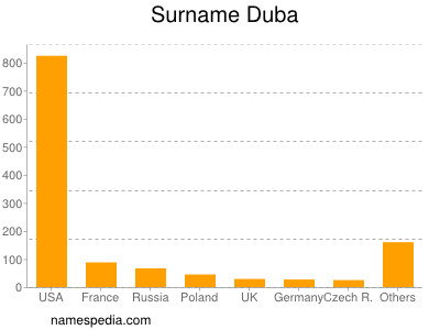 Familiennamen Duba