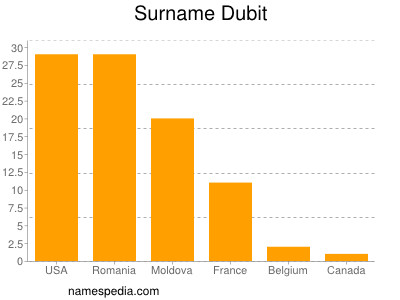 Familiennamen Dubit