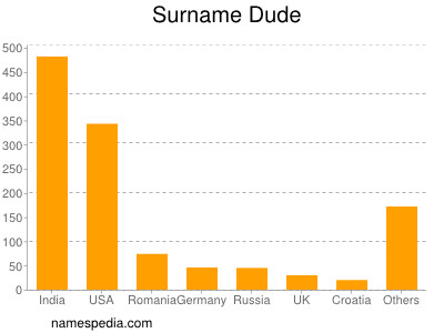 Surname Dude