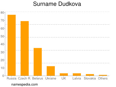 Familiennamen Dudkova