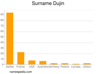 Surname Dujin