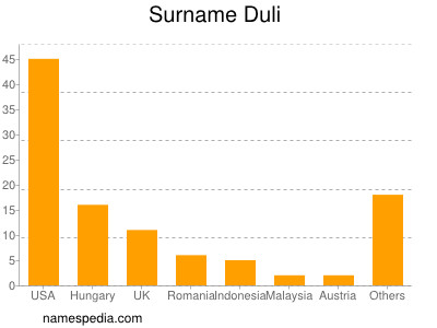 Familiennamen Duli