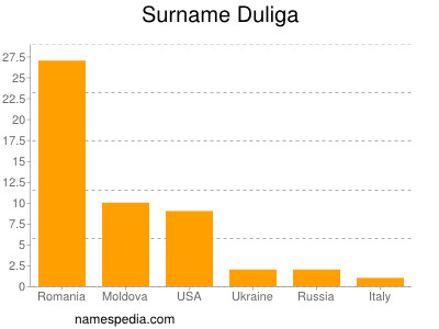 Familiennamen Duliga