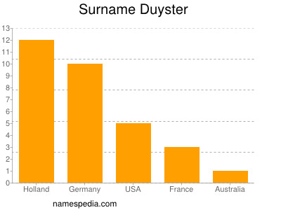 Familiennamen Duyster