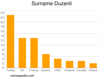 Familiennamen Duzenli