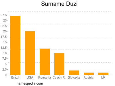 Familiennamen Duzi