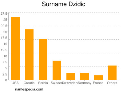Surname Dzidic