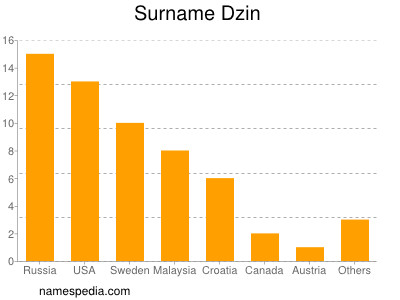 Surname Dzin