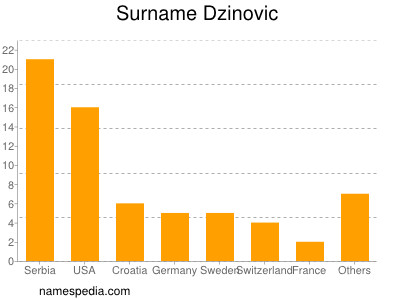 Familiennamen Dzinovic