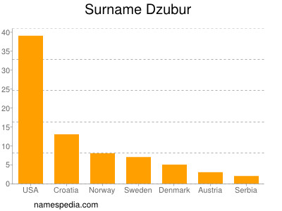 Surname Dzubur