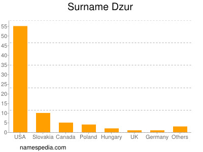 Familiennamen Dzur