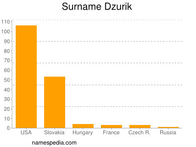 Surname Dzurik