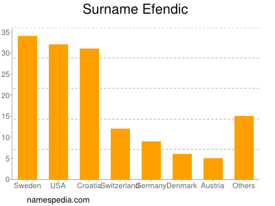 Surname Efendic
