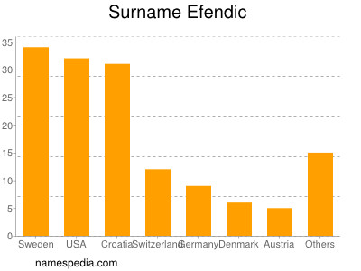 Familiennamen Efendic