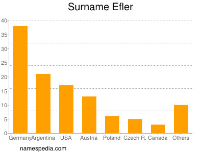 Surname Efler