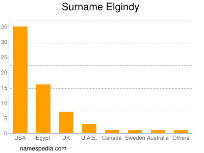 Surname Elgindy