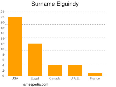 Familiennamen Elguindy