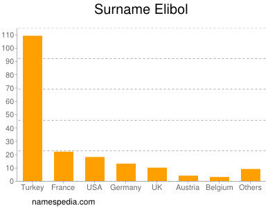 Familiennamen Elibol