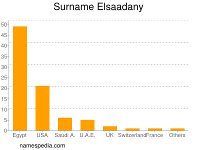 Familiennamen Elsaadany