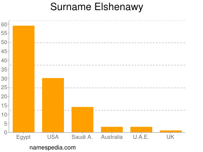Familiennamen Elshenawy