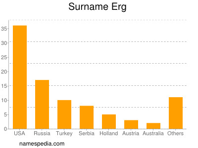 Surname Erg